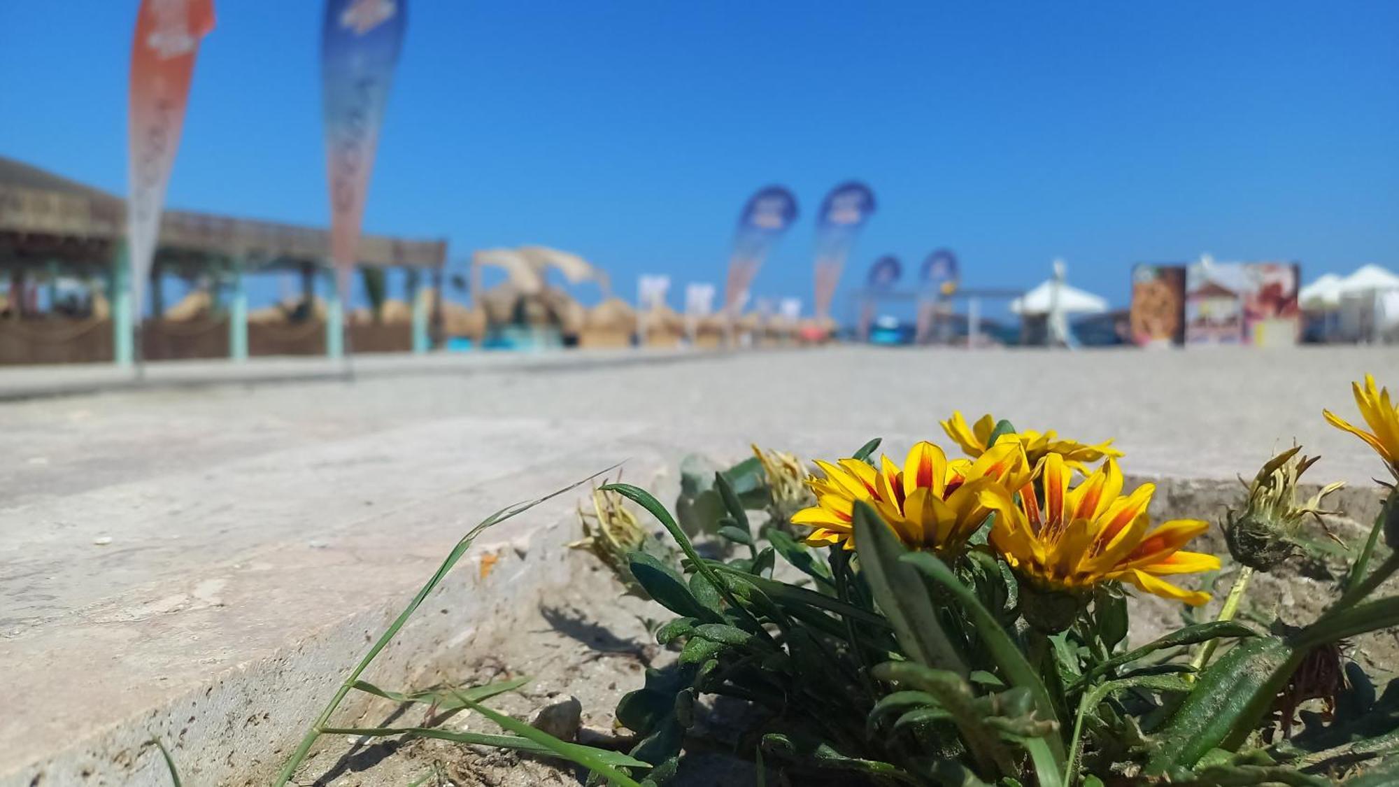Luxury Promenada Apartment - Frontal Beachfront Mamaia Nord Navodari Luaran gambar