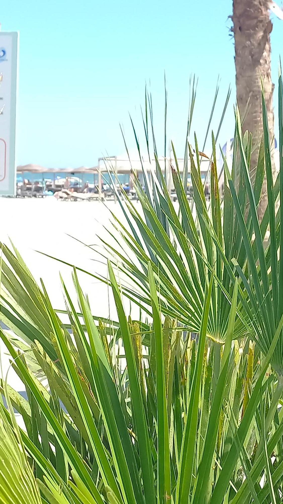 Luxury Promenada Apartment - Frontal Beachfront Mamaia Nord Navodari Luaran gambar